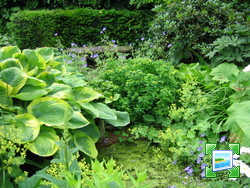 http://www.zimagez.com/miniature/jardin11pepinieredingemans018.jpg