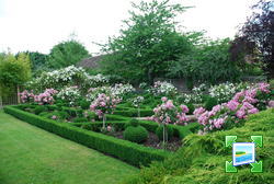 http://www.zimagez.com/miniature/jardin5anitapereire.jpg