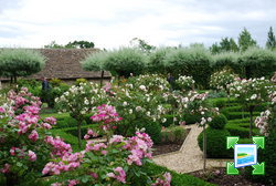 http://www.zimagez.com/miniature/jardin5anitapereire44.jpg