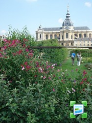 http://www.zimagez.com/miniature/versailles015.jpg